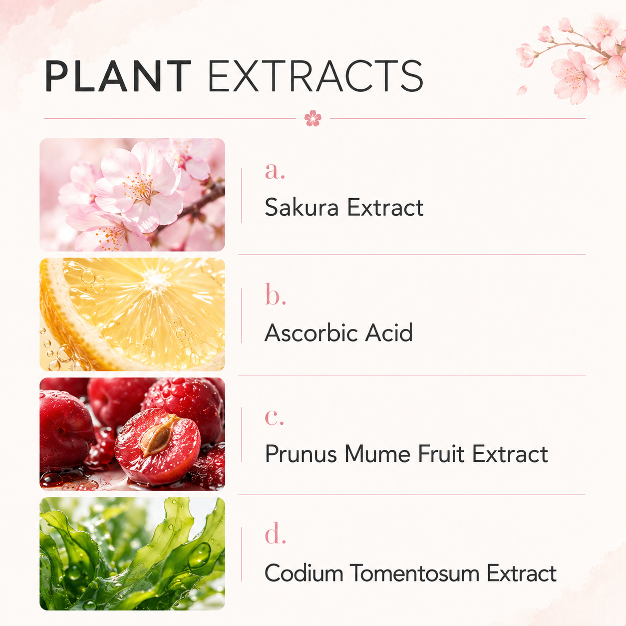 Veltix Store | Japan Sakura Facial Cleanser