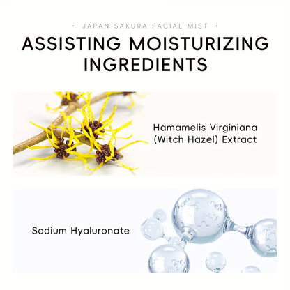 Veltix Store – Japan Sakura Facial Mist